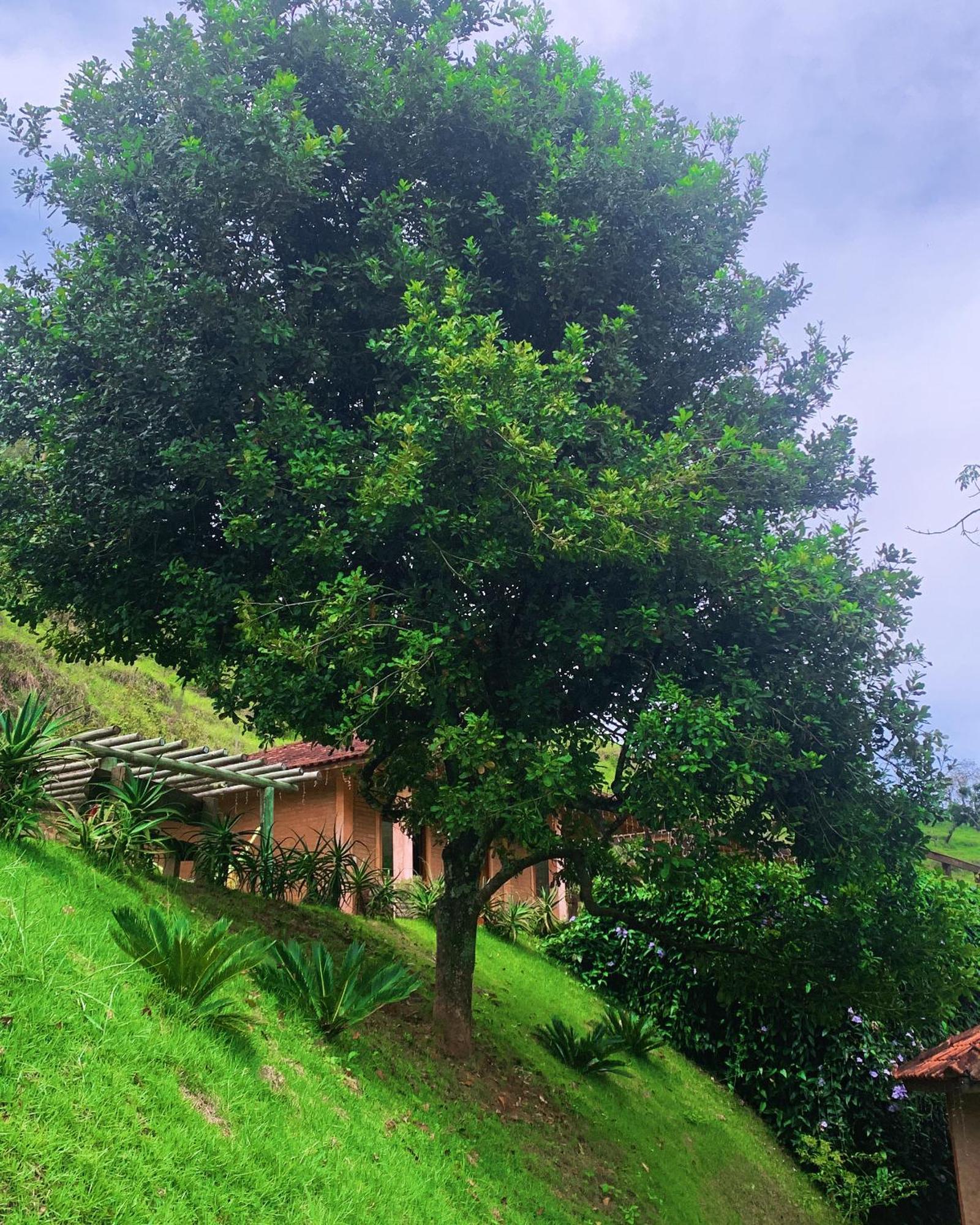 Shangri-la Country house